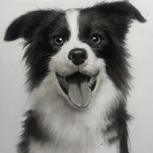 Pencil Pet Portraits