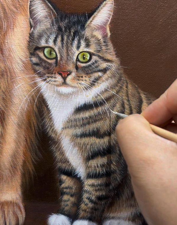 Stunning oil portrait of Tia the cat on canvas by Gabby