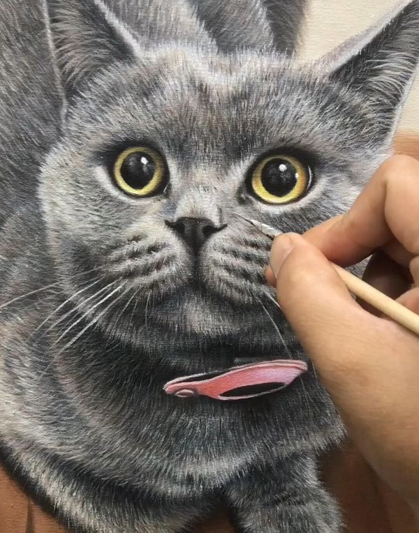 Boone the cat, an oil portrait on canvas by Gabby, capturing his serene look.