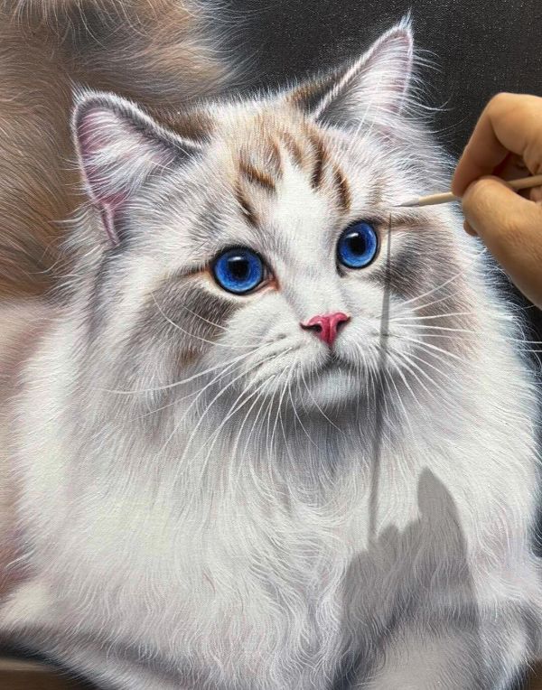 Hand-painted oil portrait of Sophie the white cat on canvas by Gabby