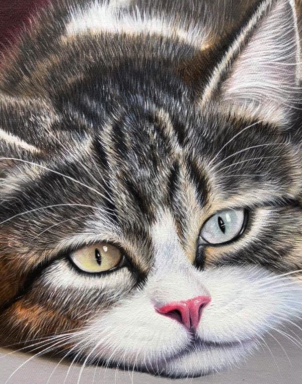 Oil painting of Paddy the dog by Gabby