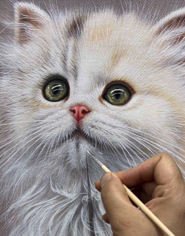Max the cat, a hand-painted oil portrait by Gabby