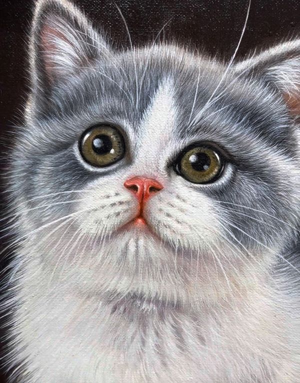 Oil portrait of Boone the cat on canvas by Gabby