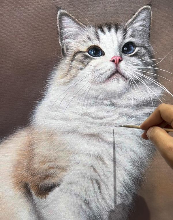 Custom oil portrait of Saffie the cat by Gabby