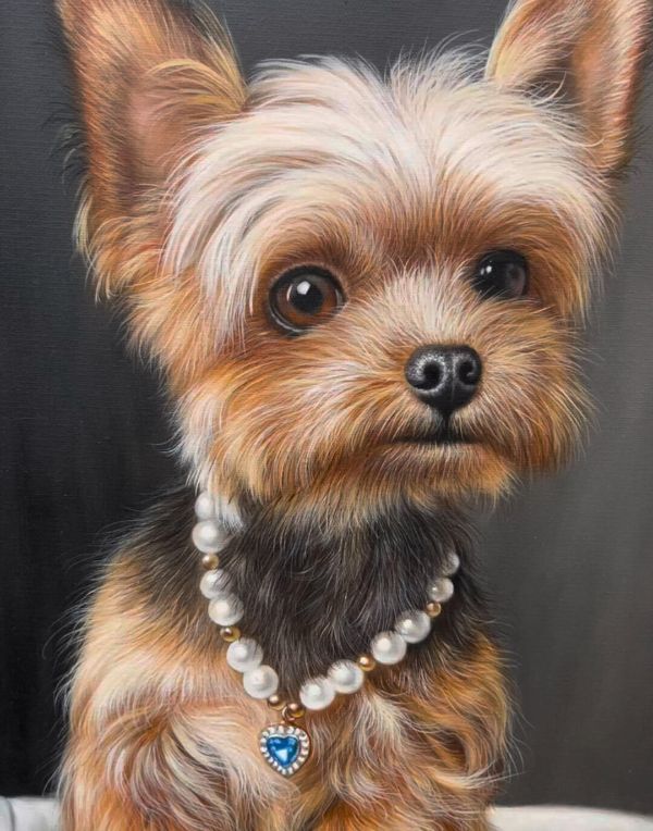 Oil painting of Keo the Weimaraner dog by Gabby