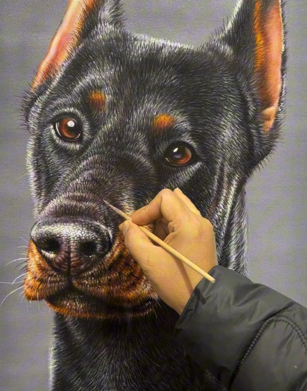 Oil painting of Joey, a Sheltie dog, by Gabby