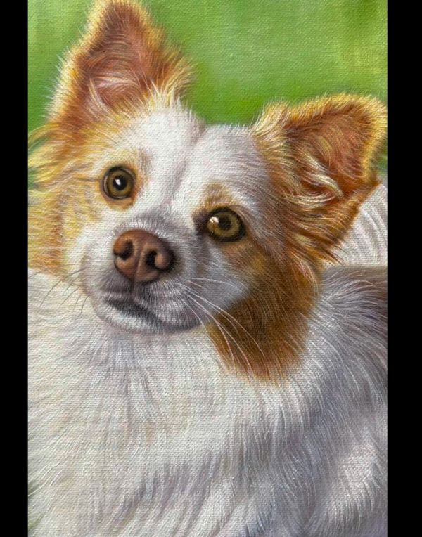 Realistic oil portrait of Wilson the dog, a custom painting by Gabby