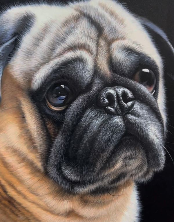 Expressive oil painting of Rob, a dog with a thoughtful gaze.