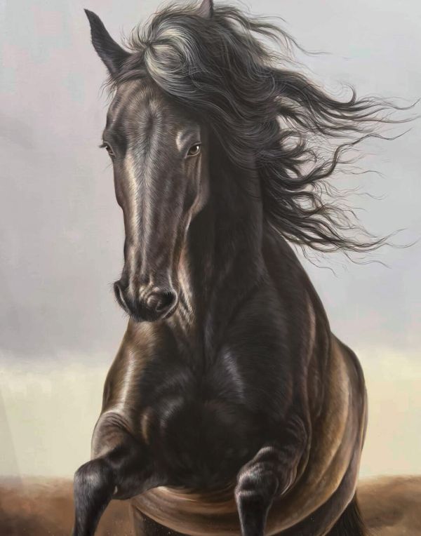 Oil horse portrait of Carina, a beautiful equine painting by Gabby