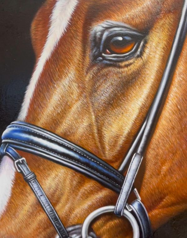 Classic oil painting of Remy the horse by Gabby