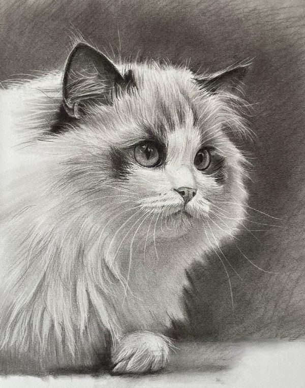 Gabby, the artist, with her Tibetan Terrier Lily, a visual representation of her pet portrait artistry.