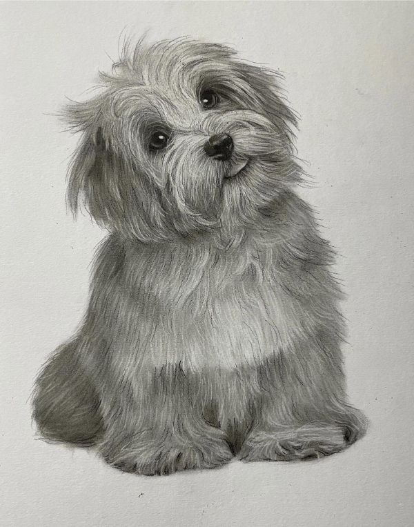 Gabby with a pencil drawing of a dog, highlighting the classic drawing style.