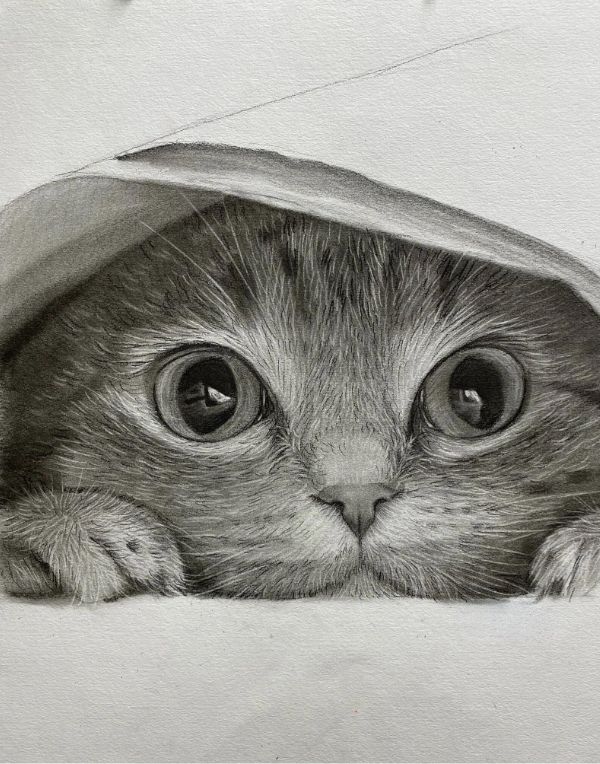 Realistic custom pencil portrait of a Boxer dog, capturing its strong and noble features.